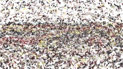 cloners 4 :: lumprobcloner1