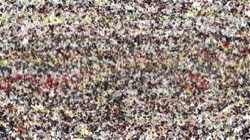 cloners 4 :: lumprobcloner1b