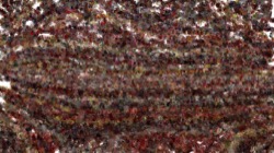 cloners 4 :: morecloner2