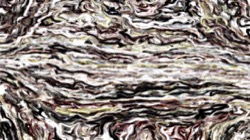 cloners 4 :: mutedcolourcloner1