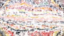 cloners 4 :: softreductioncloner1