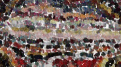 cloners 4 :: speckled2