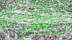 cloners 4 :: sprackled1
