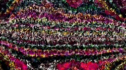 cloners - strokes :: darkpaint1