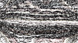 edge effects, sketches :: blackedgesoftcolourinterior