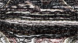 edge effects, sketches :: blackedgesoftcolourinteriorb