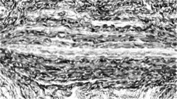 edge effects, sketches :: bwedgesmudge
