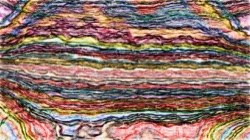 edge effects, sketches :: sketcher1