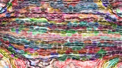 examples :: msgtst2amish