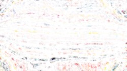 flakes :: flakes5