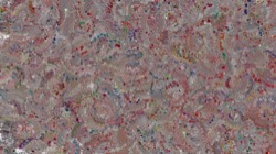 frothy :: effervescingdisk2