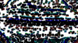 geodesic :: ditheringgeo2