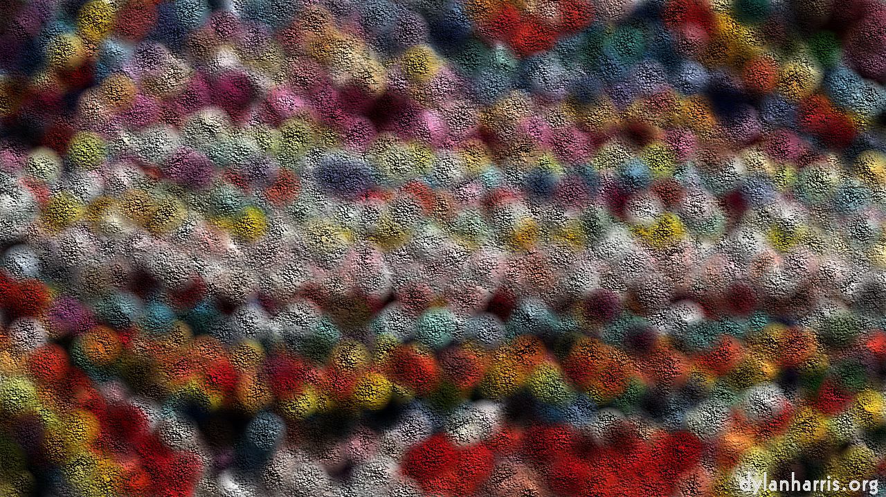 dewdrops1