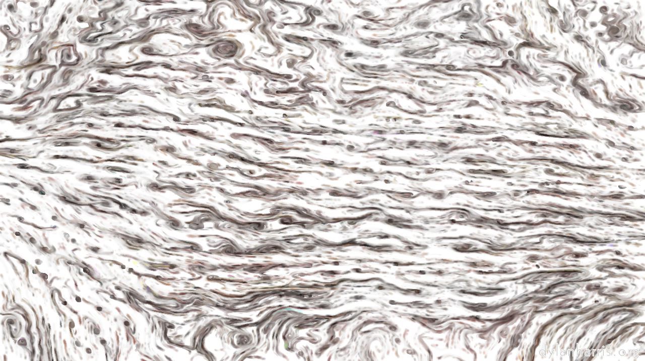 runny1