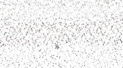 liquid cloners :: earthywash1
