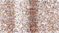 liquid cloners :: liquidapplicator1
