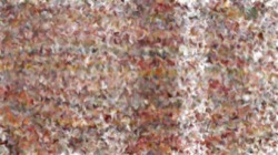 liquid cloners :: liquidapplicator1b