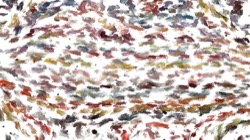 liquid cloners :: liquidfiner1