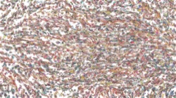 liquid cloners :: moltenliquid2