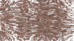 liquids :: liquidfinerlines