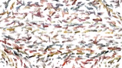 liquids :: liquidfinerlines3