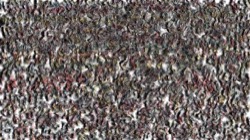 liquids :: spinningturbidity1