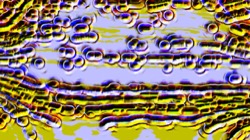 msg paint 1 :: alienviewpoint1