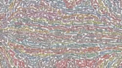 msg paint 1 :: burlap1
