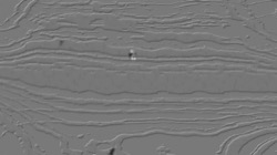 msg paint 1 :: grayrelief1