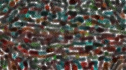 msg paint 1 :: tex2