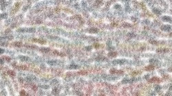 msg paint 1 :: texturedclonerobtuse1