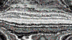 multipens :: morerope1