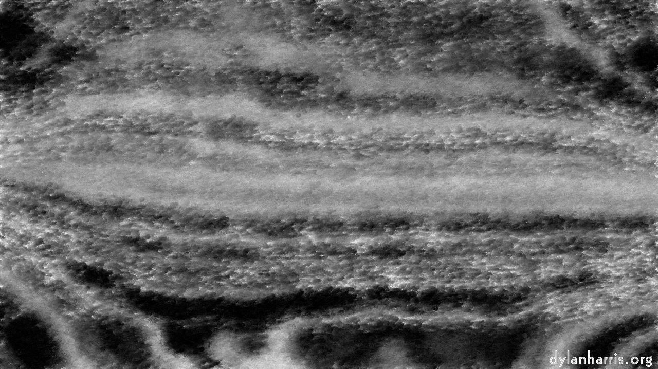 bwscratchybristles
