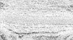 natural media :: bwsoftoilychalk1
