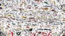 oils wet :: oilw8