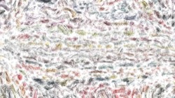 oils wet :: oilw9