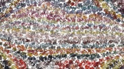 oils wet :: whipitupnontilt