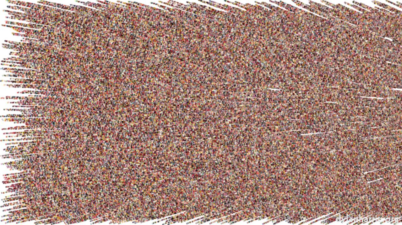 thicket1
