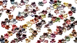 particles :: blobbo
