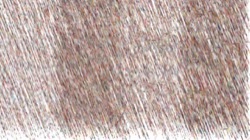 particles :: flow1