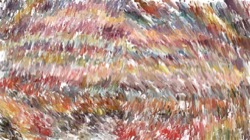 particles :: particlenib