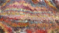 particles :: particlenibb
