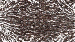 particles :: particles1