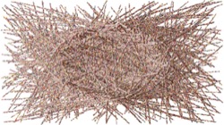 particles :: ropeparticlepaint1