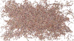 particles :: spaghetti