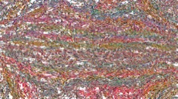 particles :: spinners2
