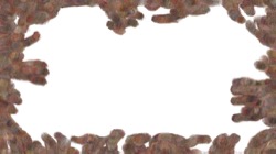particles :: wildwetone