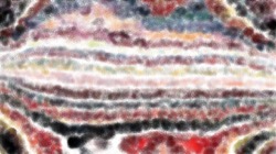 particulate :: finetextureblender1