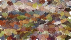 particulate :: powdery2