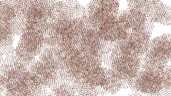 pattern effects :: rippler1